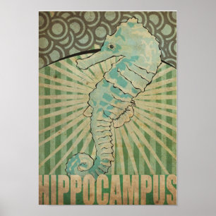 Póster Hipocampo