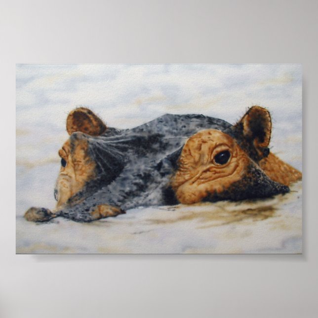 Poster hipopótamo (Frente)