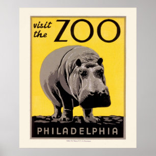 Poster Hipopótamo do jardim zoológico de Philadelphfia 