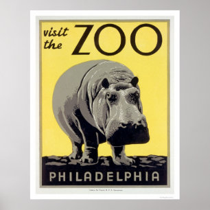 Póster Hipopótamo do jardim zoológico do PA de