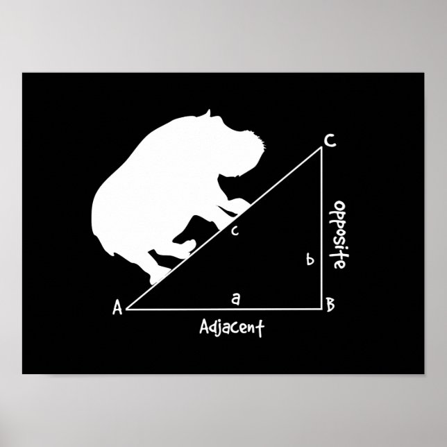 Póster Hipotenusa (Frente)