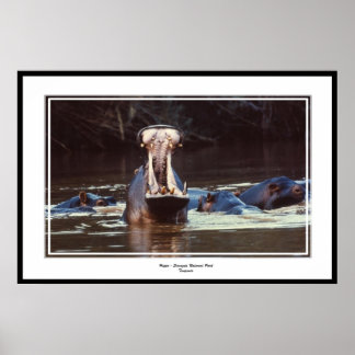 Póster Hippo - Serentgeti