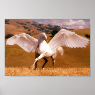 Poster Hippogriff