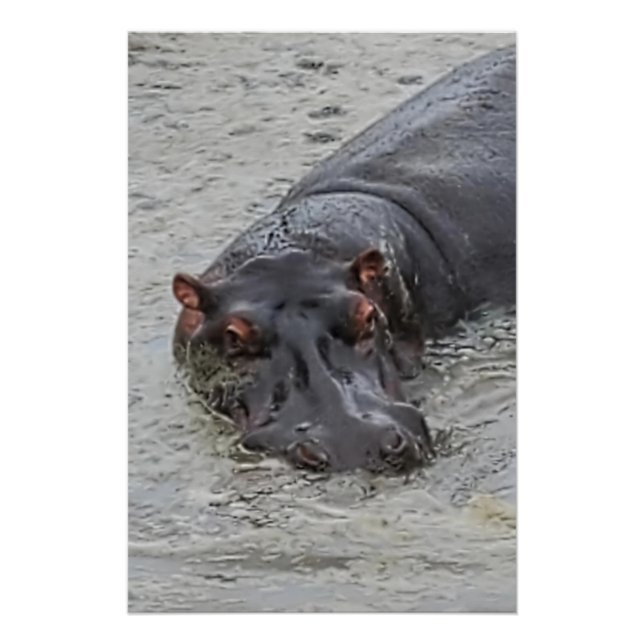 Póster Hippoposterus (Frente)