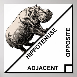 Póster Hippotenusa Hipotenusa Matemática Divertida Pôster