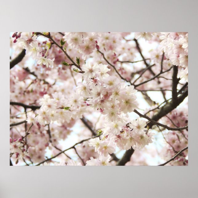 Poster hipster (Frente)