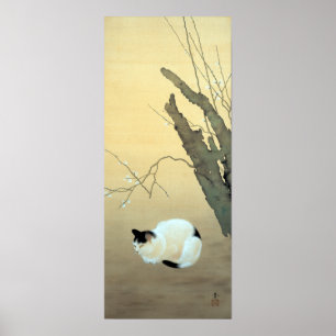 Poster Hishida Shunso Cat e Blossomas de Ameixa