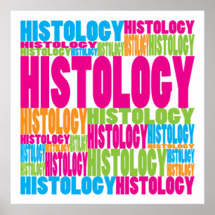 Poster Histologia Colorida
