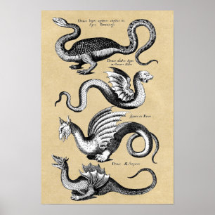 Poster História da carta da parede dos dragões