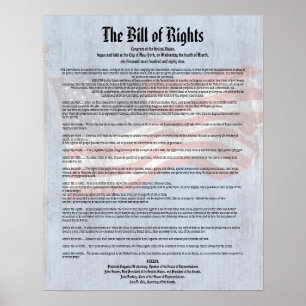 Poster História da Constituição dos EUA Carta de Direitos