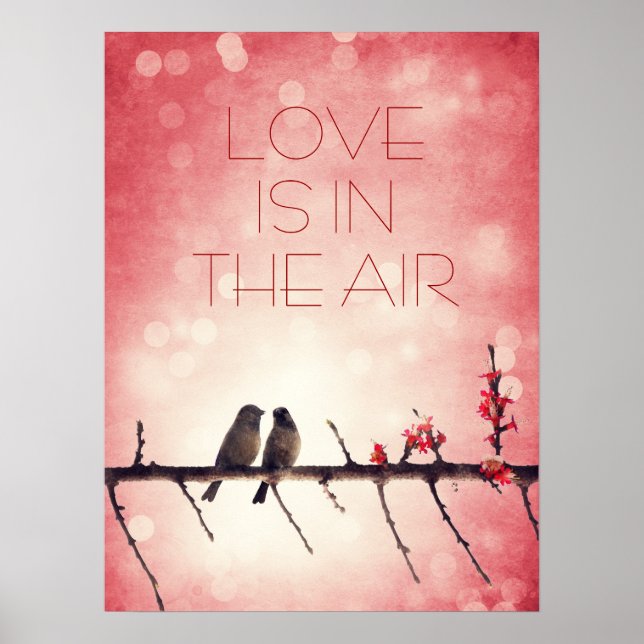 Poster História de aves de amor (Frente)