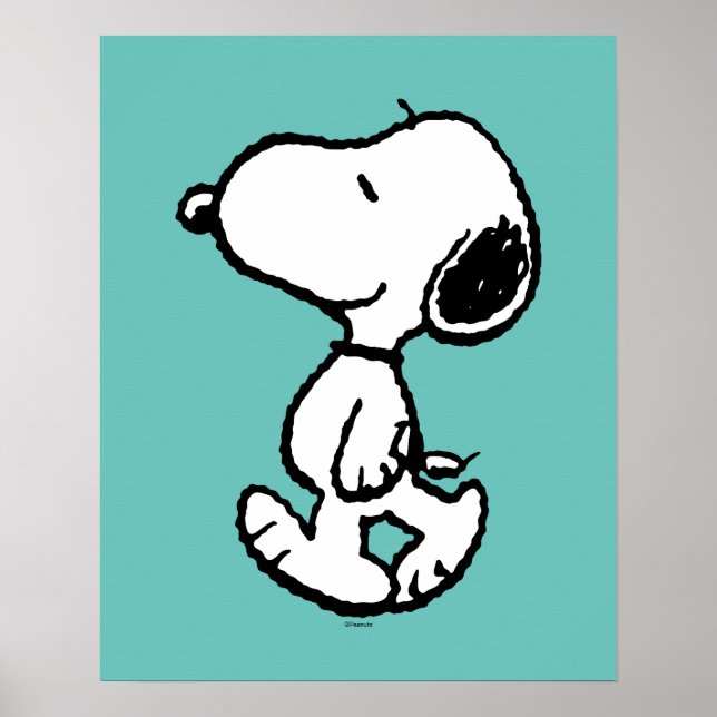 Poster Histórias em quadrinhos Clássicas do Snoopy (Frente)