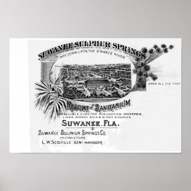 Póster Historic Suwannee Primaveras, rio suwannee da Flór (Frente)
