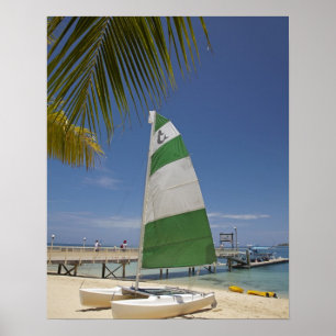 Poster Hobie Cat, Plantation Island Resort