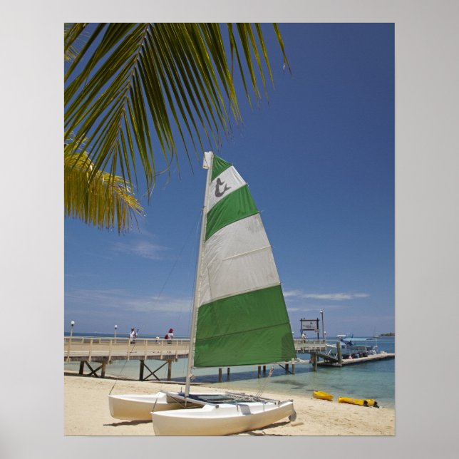Poster Hobie Cat, Plantation Island Resort (Frente)