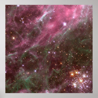 Póster Hodge 301, Nebulosa de Tarantula