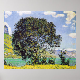 Poster Hodler - Árvore Em Brienzersee 1906