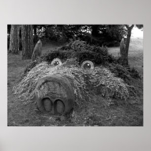 Póster Hoge Head, Bute Park, Cardiff