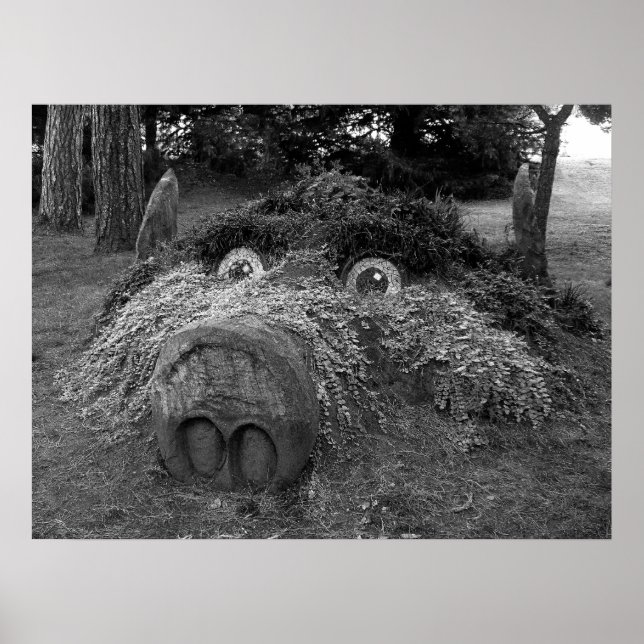 Póster Hoge Head, Bute Park, Cardiff (Frente)