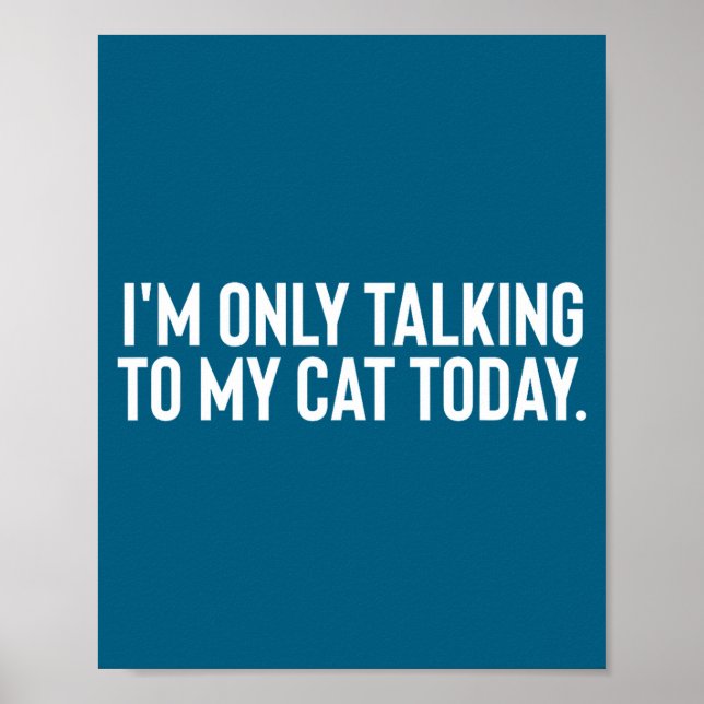 Poster Hoje Só Estou Falando Com Meu Gato  (Frente)