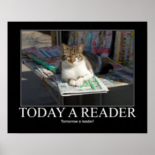 Póster Hoje uns trabalhos de arte do gato do leitor