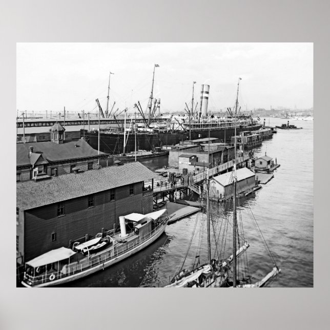 Póster Holland America Line (Frente)