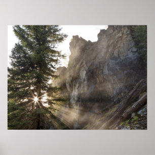 Poster Holland Falls Floresta Nacional Lolo, Montana