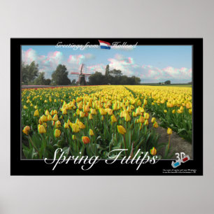 Póster Holland Primavera Tulips Paisagem 3D Anaglyph Post