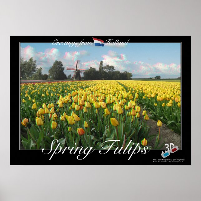Póster Holland Primavera Tulips Paisagem 3D Anaglyph Post (Frente)