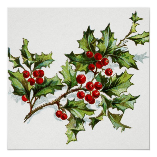 Póster Holly Berries 001 (Frente)