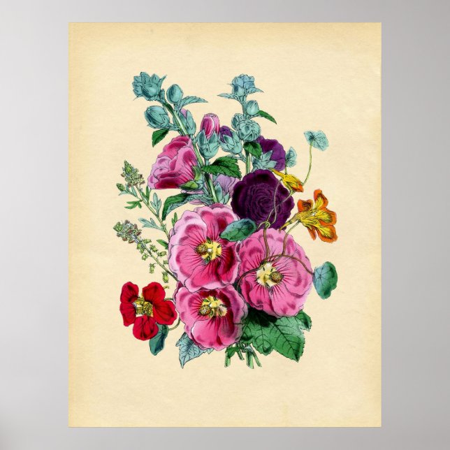 Poster Hollyhocks Botânicos Vintage (Frente)