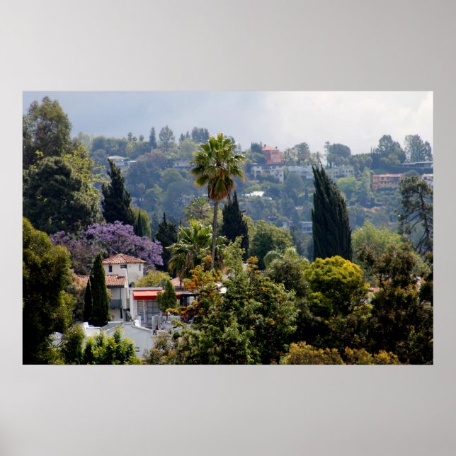 Póster Hollywood Colinas, Califórnia (Frente)