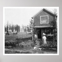 Home Cats Fairbanks Alaska 1916