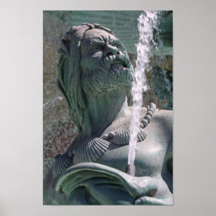 Poster homem da água