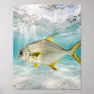 Poster Homem da Flórida Pompano Surf Areia Branca Arte de