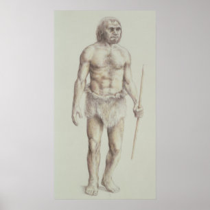 Póster Homem Neandertal