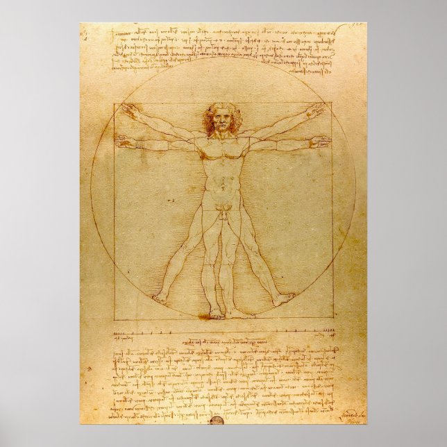 Poster Homem Vitruviano por Leonardo da Vinci (Frente)