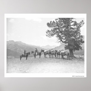 Póster Homens com os packhorses que olham sobre um monte