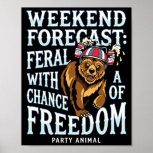 Poster Homens urso grizzly patriótico divertido verão lib