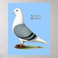 Homer Blue Saddle