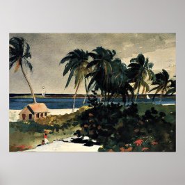 Poster Homer - Nassau 1899