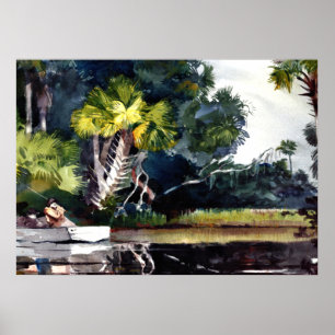 Póster Homer - Selva de Homosassa