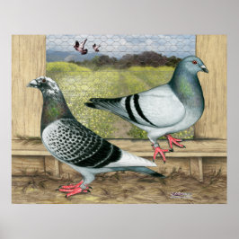 Poster Homers de Corrida em Loft