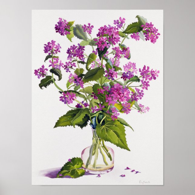 Póster Honestidade (Frente)