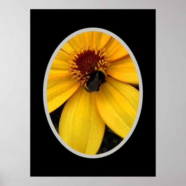Poster Honey bee ON A YELLOW BLOOM (Frente)