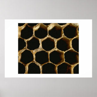 Poster Honeycomb