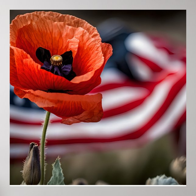 Poster Honra aqueles que deram tudo (Frente)