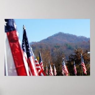 Póster Honrando nossos Veteranos