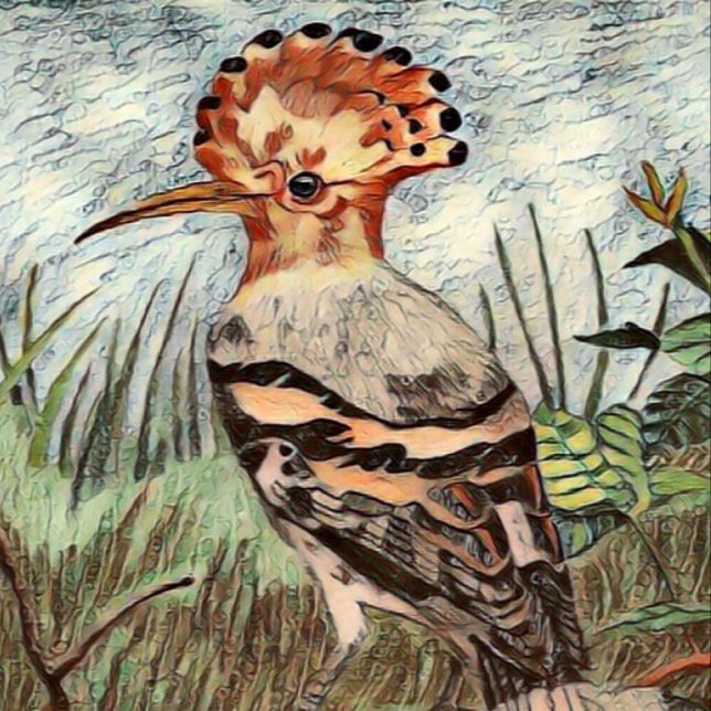 Poster Hoopoe (Criador carregado)