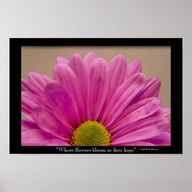Poster Hope Blooms Pink Gerber Daisy (Frente)